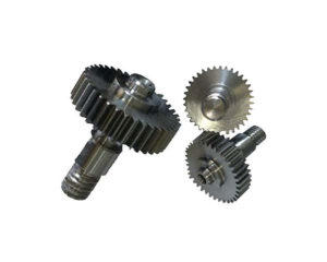 Costomized High Quality Stainless Stee/Carbon Steel Gear for Forniture