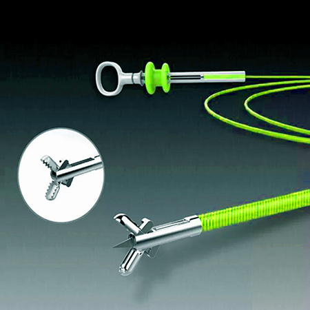 Biopsy Forceps