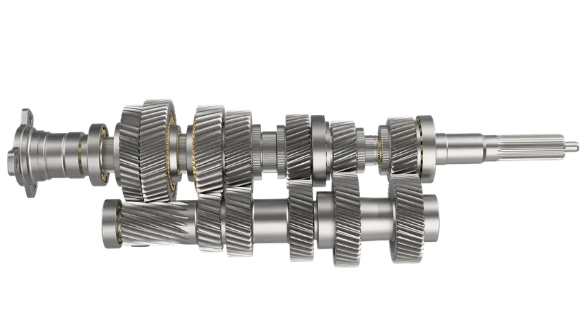 Two shafts each with several teethed protrusions and bearings on each end