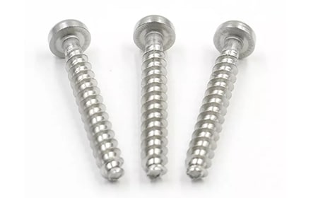 Fillister head screw