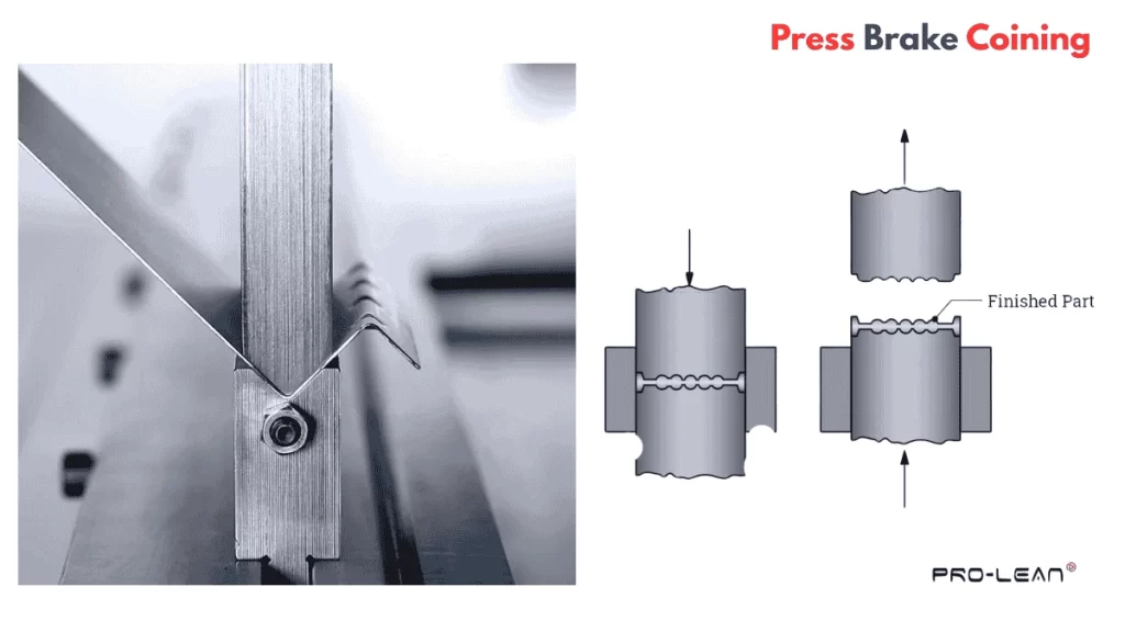 Close-up process view and schematic illustration of press brake coining
