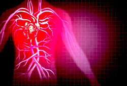 coronary heart disease detection