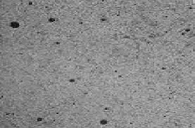 Gas porosity defects on a casting surface under magnification.