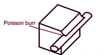 poisson burr
