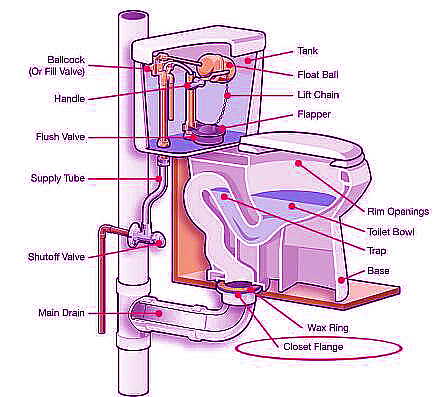 toilet flange